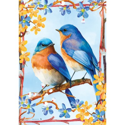 Lovely Bluebirds